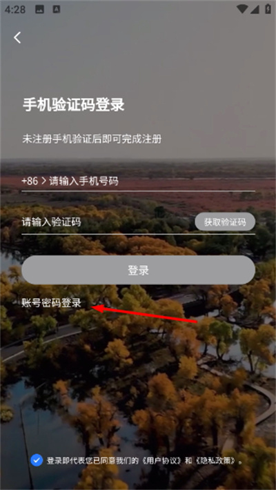 小熊自驾游2026