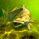 我的钓鱼世界(My Fishing World)