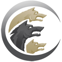 Cerberus FTP Server 2025.3.0.0