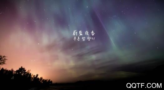 本色社区app手机版