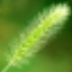 Txtvoice 1.0