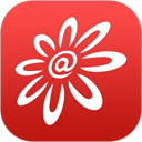 掌上生活App v9.3.8安卓版