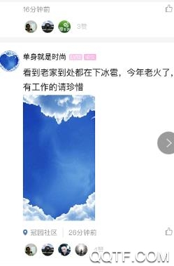 镇雄网app最新版