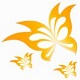 百思快派 1.0.0.6