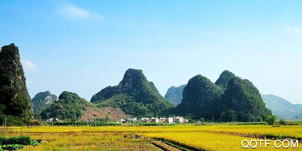 最清远客户端 最清远客户端