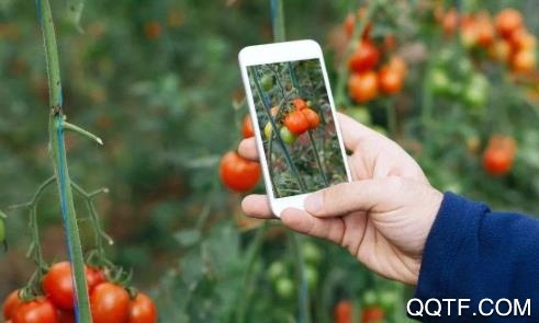 润农资讯app官方版 润农资讯app官方版