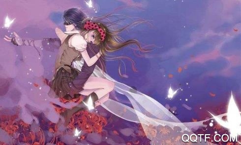 狸猫追书app最新版 狸猫追书app最新版