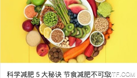 轻报手机客户端 轻报手机客户端