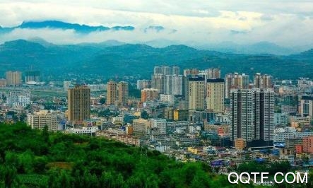 成州网app最新版