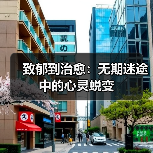 致郁到治愈:无期迷途中的心灵蜕变(图4) 致郁到治愈:无期迷途中的心灵蜕变(图4)