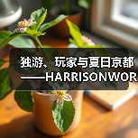 独游、玩家与夏日京都——HARRISONWORLD的BitSummit回顾（图3）
