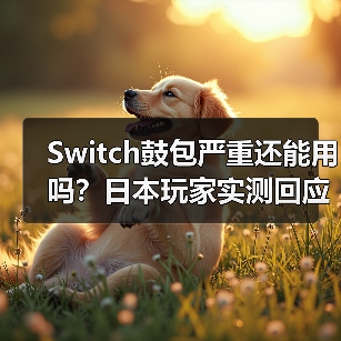 Switch鼓包严重还能用吗？日本玩家实测回应（图2）