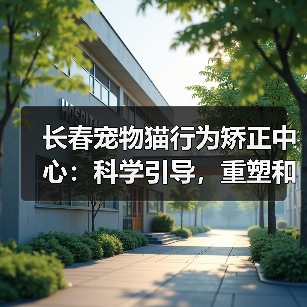 Epilogue推出专为SFC实体卡带收藏家打造的新款烧录器