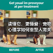 撤离射击引爆游戏圈 2025下半年现象级热潮